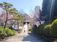 護国寺(東京都)