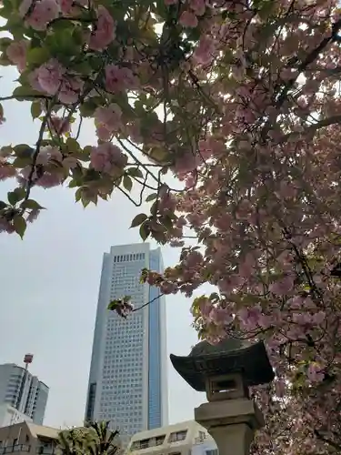 荘厳寺(東京都)