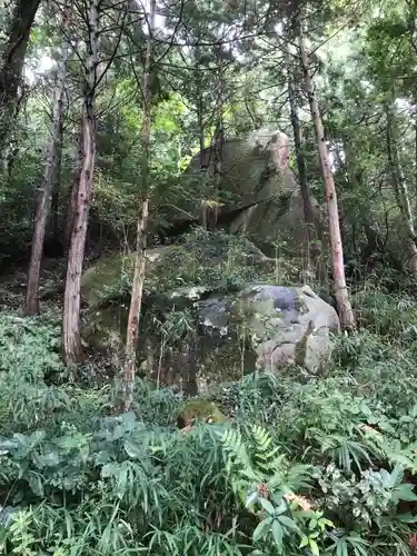 観音正寺の自然