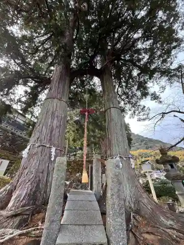 武雄神社の{uncategorized: "未分類", other: "その他", undefined: "問題あり", building: "その他建物", grave: "お墓", sacred_gate: "鳥居", guardian: "狛犬", statue: "像", buddha: "仏像", history: "歴史", nature: "自然", garden: "庭園", animal: "動物", pagoda: "塔", temizu: "手水舎", mountain_gate: "山門・神門", sanctuary: "本殿・本堂", subordinate: "末社・摂社", art: "芸術", scenery: "景色", jizo: "地蔵", ema: "絵馬", goshuin: "御朱印", omikuji: "おみくじ", items: "授与品その他", amulet: "お守り", goshuincho: "御朱印帳", eats: "食事", festival: "お祭り", votive_dance: "神楽", shichigosan: "七五三参", wedding: "結婚式", experience: "体験その他", initially: "初詣", around: "周辺", anti_infection: "感染症対策"}