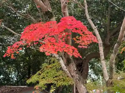 龍田大社(奈良県)