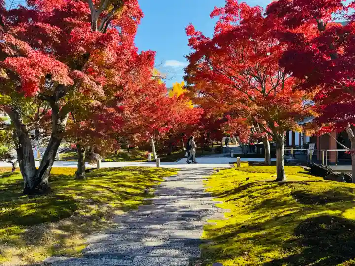 智積院の{uncategorized: "未分類", other: "その他", undefined: "問題あり", building: "その他建物", grave: "お墓", sacred_gate: "鳥居", guardian: "狛犬", statue: "像", buddha: "仏像", history: "歴史", nature: "自然", garden: "庭園", animal: "動物", pagoda: "塔", temizu: "手水舎", mountain_gate: "山門・神門", sanctuary: "本殿・本堂", subordinate: "末社・摂社", art: "芸術", scenery: "景色", jizo: "地蔵", ema: "絵馬", goshuin: "御朱印", omikuji: "おみくじ", items: "授与品その他", amulet: "お守り", goshuincho: "御朱印帳", eats: "食事", festival: "お祭り", votive_dance: "神楽", shichigosan: "七五三参", wedding: "結婚式", experience: "体験その他", initially: "初詣", around: "周辺", anti_infection: "感染症対策"}