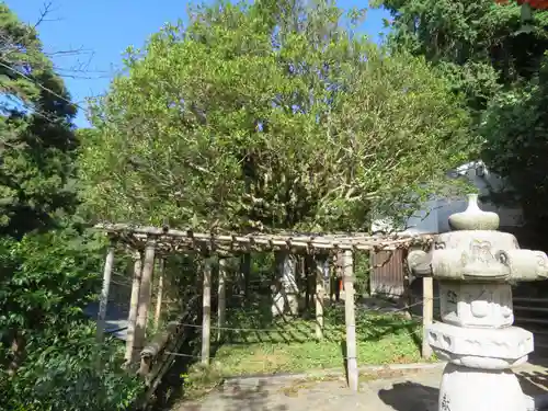 宝厳寺(滋賀県)