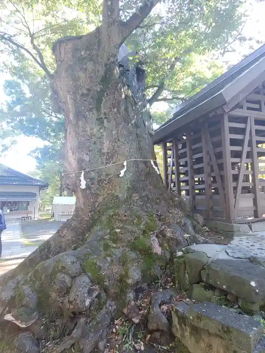 川中島古戦場八幡社(長野県)