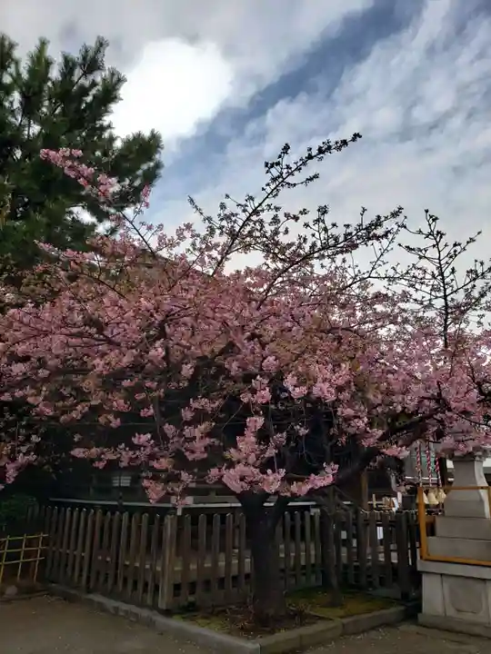 新宿下落合氷川神社(東京都)