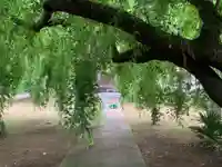 願成就寺(千葉県)