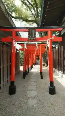 堀越神社の鳥居