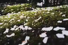 岐阜護國神社(岐阜県)