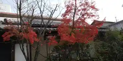 賀茂波爾神社（賀茂御祖神社境外摂社）の自然