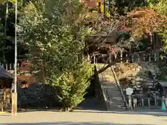 吉田神社(京都府)