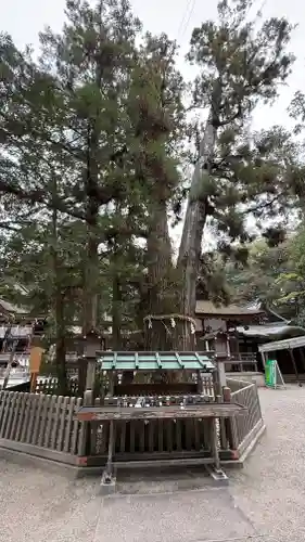 大神神社(奈良県)