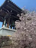 石上寺(埼玉県)