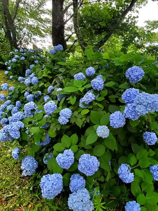 長屋神社(福島県)