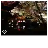 高台寺(高台寿聖禅寺・高臺寺)(京都府)