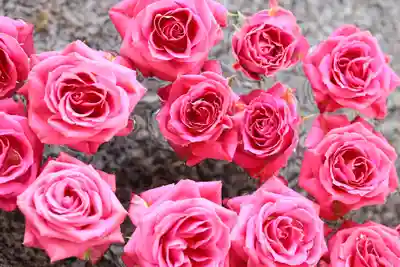 三津厳島神社の手水舎