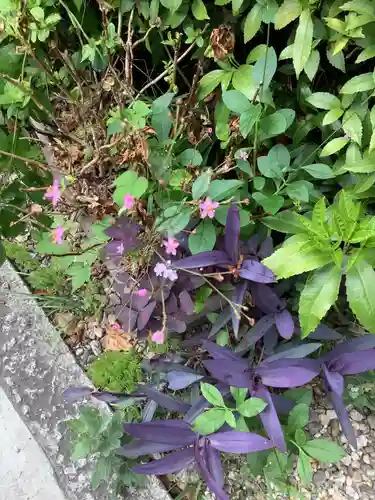 三輪神社の自然