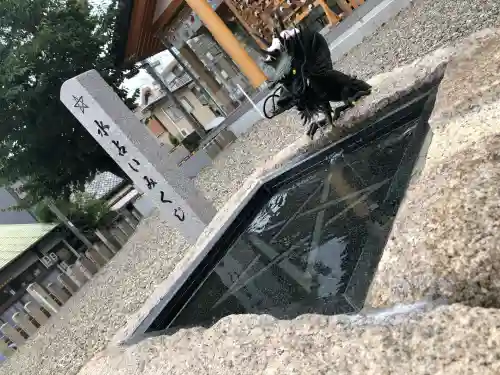 上野天満宮(愛知県)