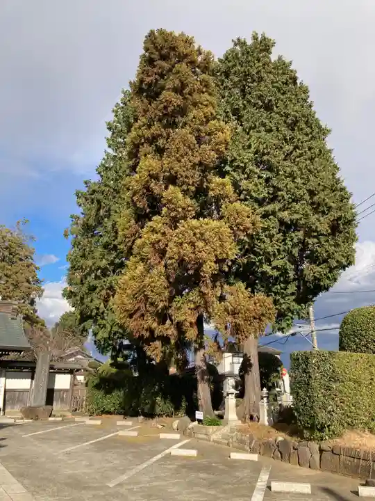 金剛頂寺(神奈川県)