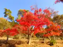 足利織姫神社の自然