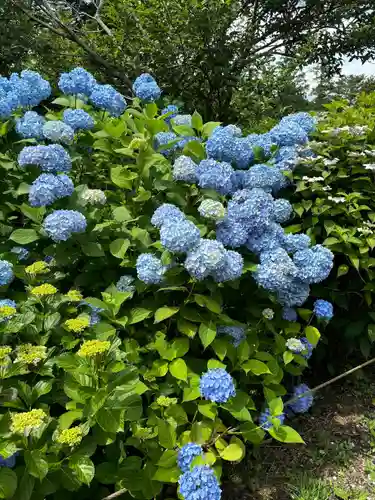 鷲子山上神社(栃木県)