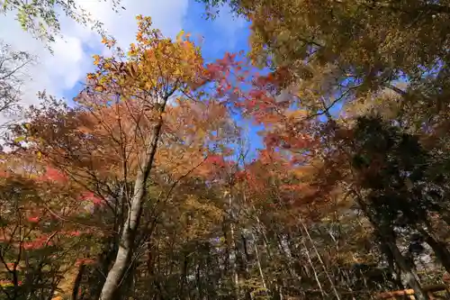 隠津島神社の庭園