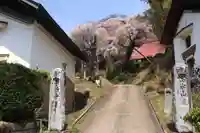 曹源寺の景色
