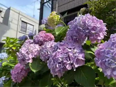 田無神社(東京都)