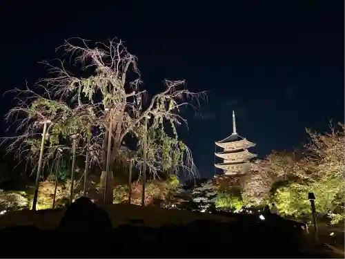 東寺（教王護国寺）(京都府)