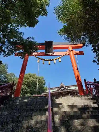 五社稲荷社の鳥居