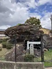 廣隆寺(京都府)