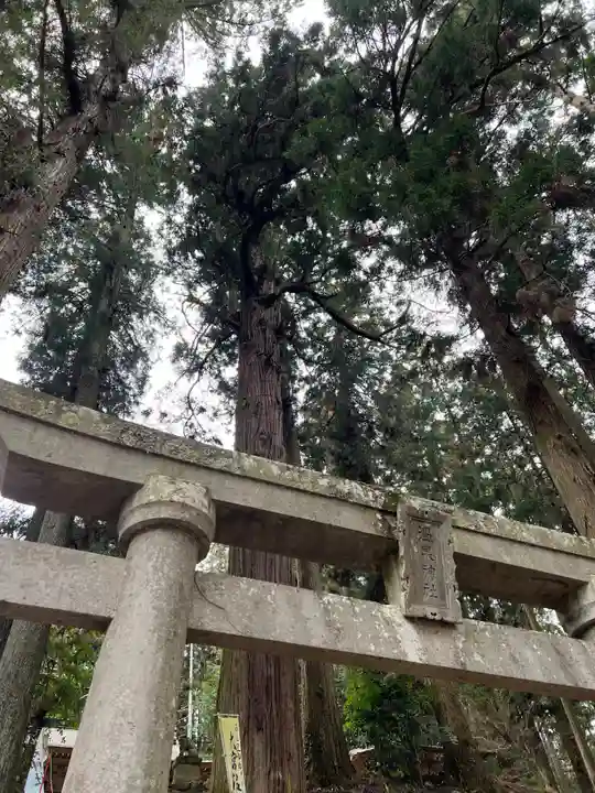 大宮温泉神社(栃木県)