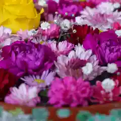 帯廣神社(北海道)