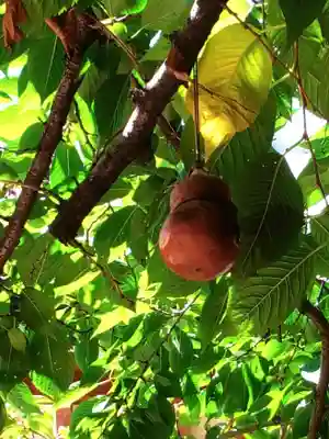 秋葉神社(東京都)
