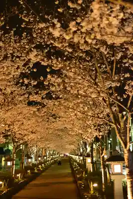 鶴岡八幡宮(神奈川県)