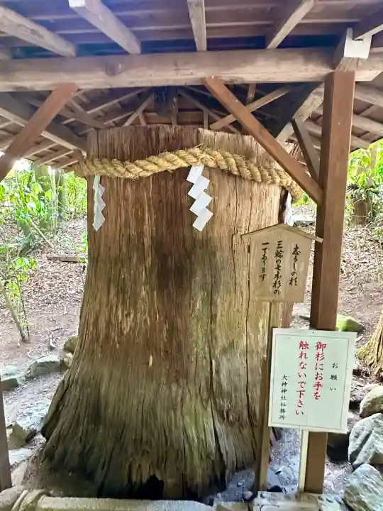 大神神社(奈良県)