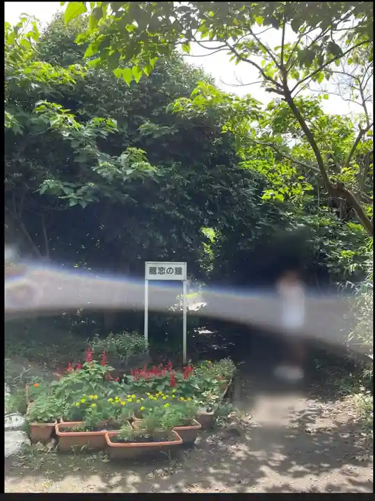 江島神社(神奈川県)