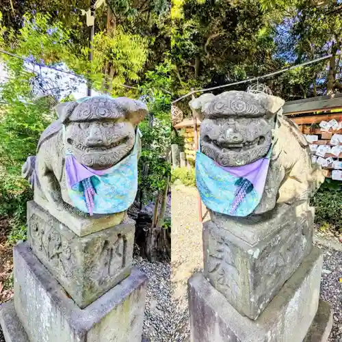 菊田神社の狛犬