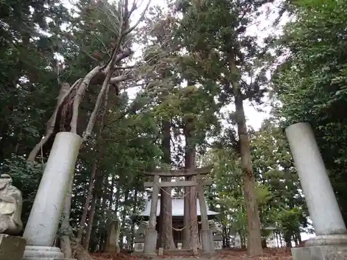 八雲神社・境内飯豊和気神社遥拝殿の建物その他