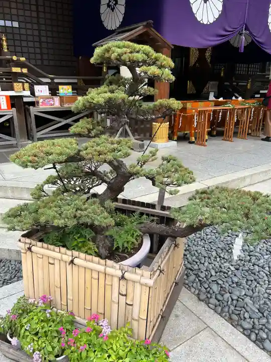 東京大神宮(東京都)