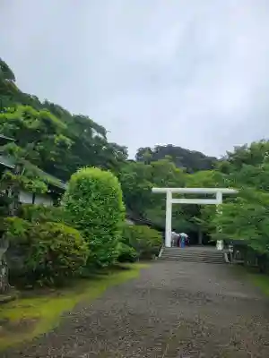 安房神社(千葉県)