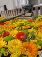 高円寺氷川神社(東京都)