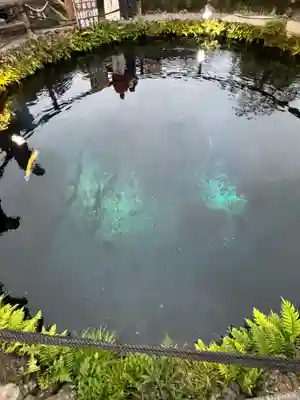 淺間神社（忍野八海）(山梨県)