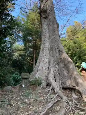 日枝神社(千葉県)