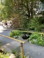 秩父神社(埼玉県)