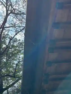 野木神社(栃木県)