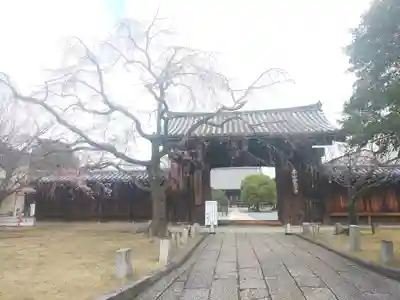 妙覺寺(妙覚寺)の山門・神門