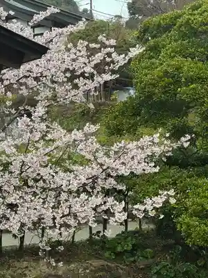 建長寺(神奈川県)