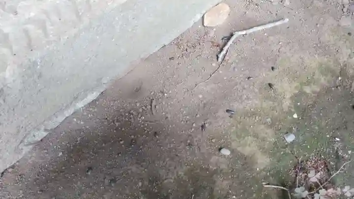 酒門神社(茨城県)