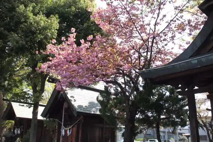 鳥海月山両所宮の自然