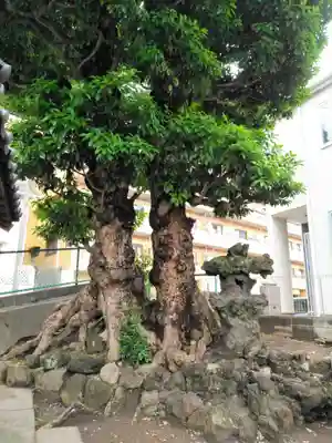 根岸町王子稲荷社(神奈川県)